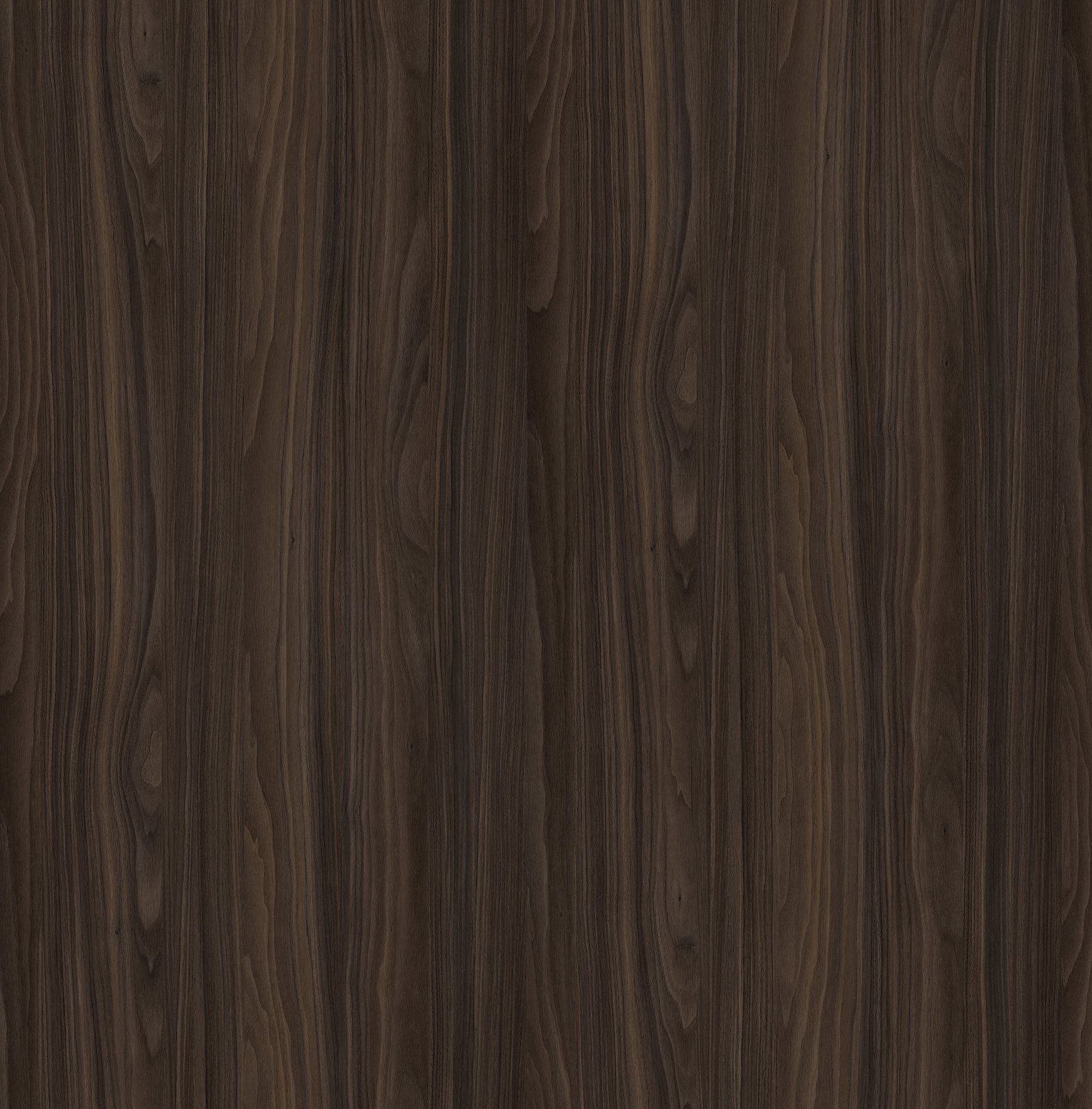 SL1116 吉亚棕胡桃