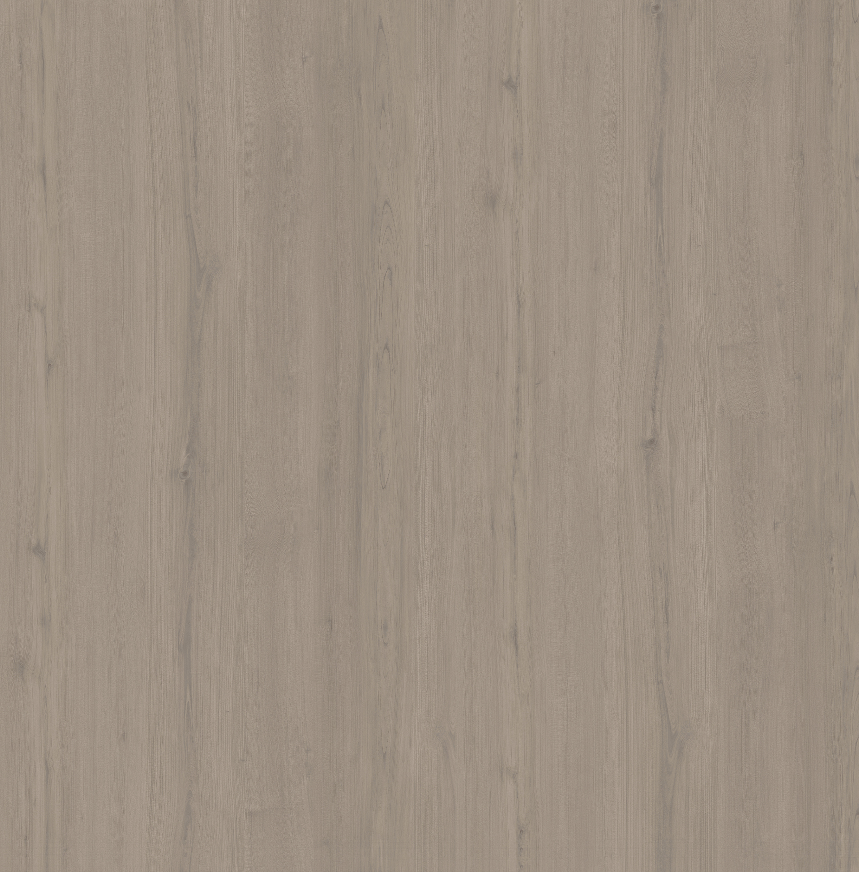 SL1122 羌雾灰榆木