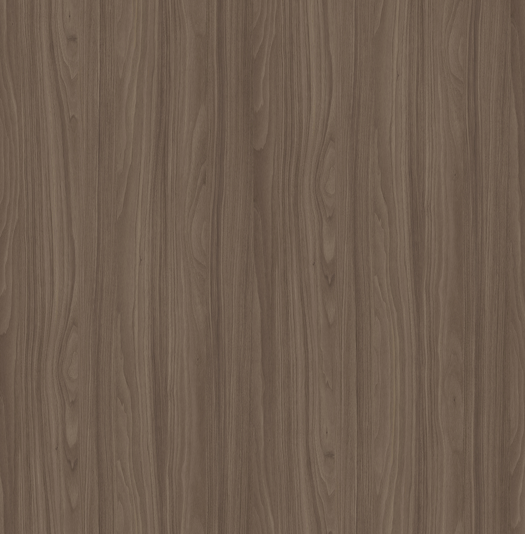 SL1115 吉亚咖胡桃